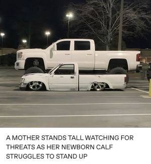 1724413354730.png