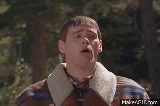 1724444082988.gif