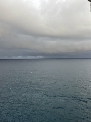 IMG_0171.jpeg