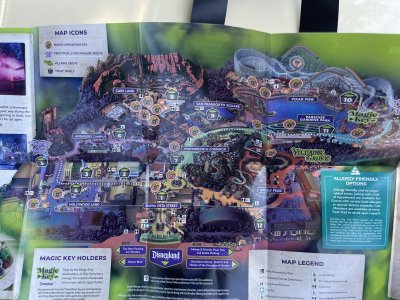 IMG_4592.jpeg