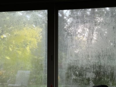 IMG_8883.jpeg