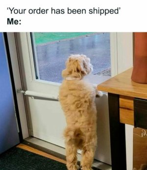 funny-memes-jokes-ibelike-10-66bdf060bc435__700.jpg