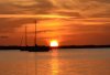 DSC_0732-01.jpeg