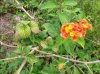 IMG_1426.JPG