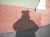 My Disney Shadow.JPG