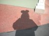My Disney Shadow.JPG