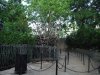 DSCF0590.JPG