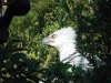 DSCF5458.JPG