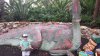 20150416_181037_resized.jpg