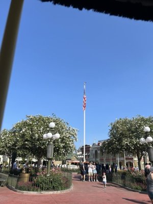 IMG_4457.JPEG