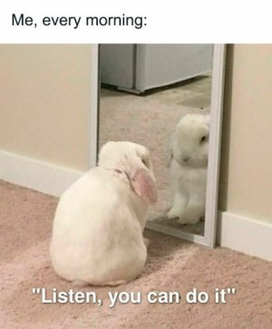 You-can-do-it-meme-2-66bcadf209ec0__700.jpg