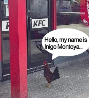 1724935501723.png