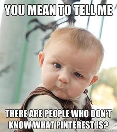 f1cfb1c94d74466d893ec39ad0373802--so-funny-funny-stuff.jpg