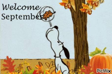 IMG_4244.gif