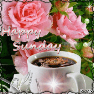 IMG_3181.gif