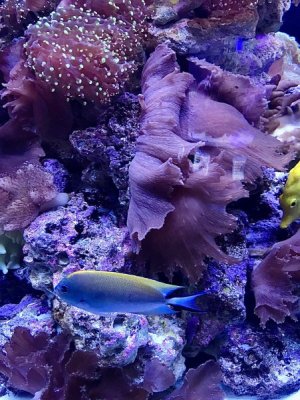 IMG_0749.jpeg