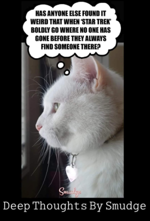 1725336619804.png