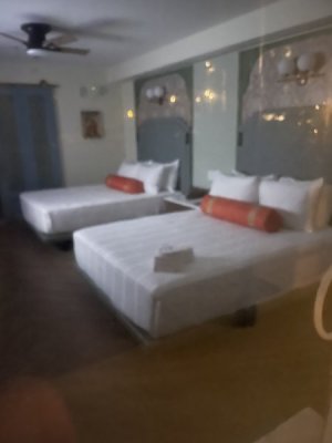 IMG_4555.jpeg
