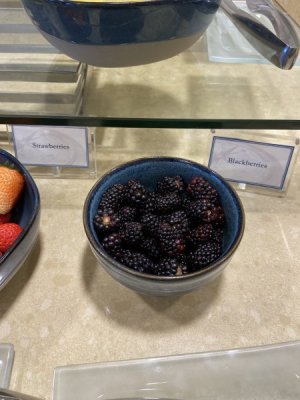 IMG_3087.jpeg