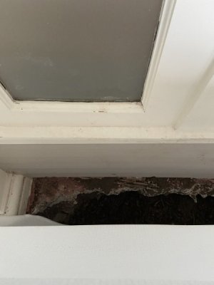 IMG_3077.jpeg