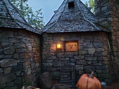 hagrids hut.jpg