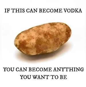 457848101_912700667551521_5439437813500482517_n.jpg