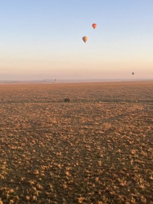 IMG_6015.jpeg