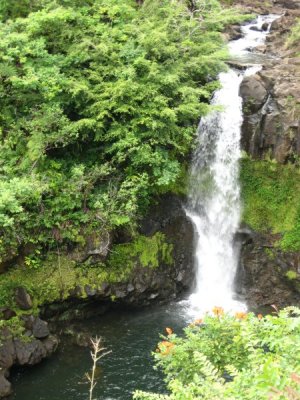 IMG_1058.JPG
