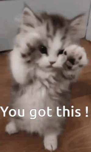 35b0b5d46c3be30be4a6c84f23b05256.gif