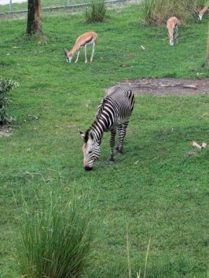 IMG_20240910_101114.jpg