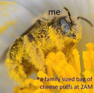 1725992014578.png