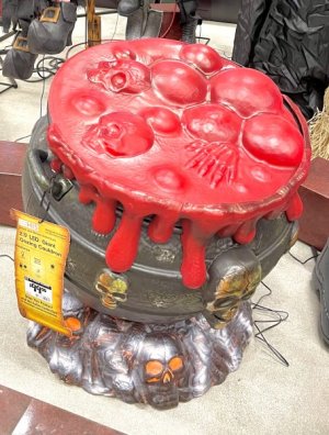 IMG_0906.jpeg