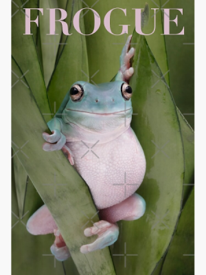 1726019162704.png