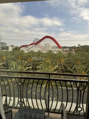 IMG_0083.jpeg