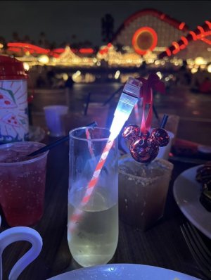 IMG_3617.jpeg