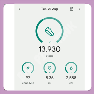 embarkation day fitbit steps.png