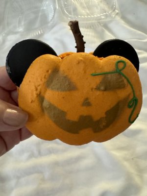 IMG_3188.jpeg