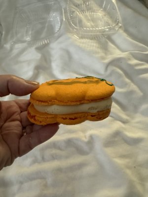 IMG_3189.jpeg