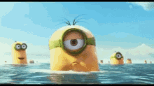 IMG_2016.gif