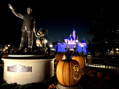 walt.jpg