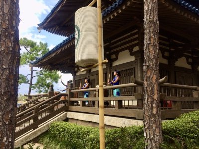 IMG_0933.jpeg
