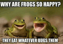 1726199830230.png