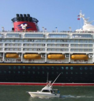 Magic Side View.jpg