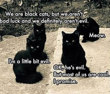 IMG_3328.jpeg