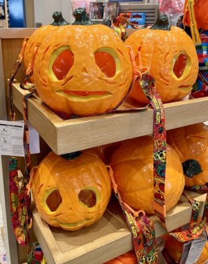 IMG_0972.jpeg