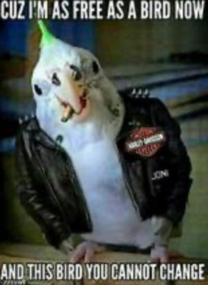 IMG_3331.jpeg