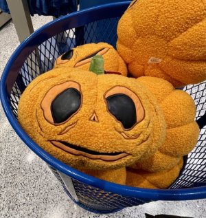 IMG_1001.jpeg