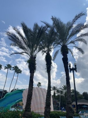 IMG_6321.JPEG