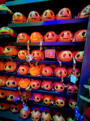 IMG_1089.jpeg