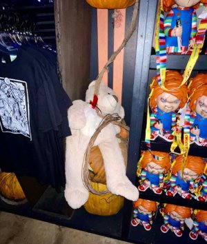 IMG_1102.jpeg